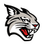 Davidson logo