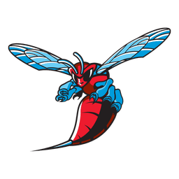 Delaware State logo