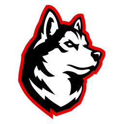 Northeastern logo