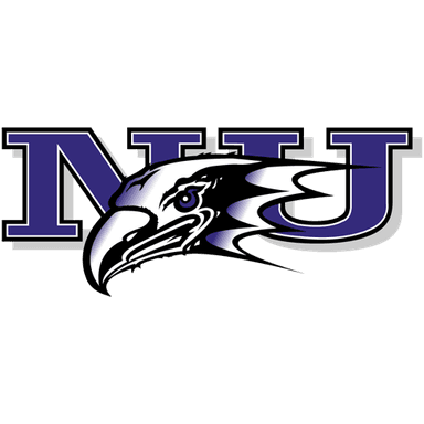Niagara logo
