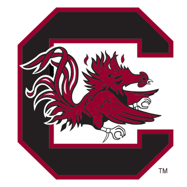 South Carolina logo