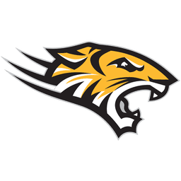 Towson logo