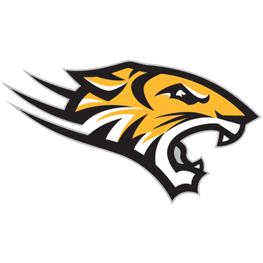 Towson logo